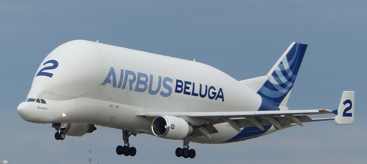 Beluga von Airbus: Wozu dient das große Flugzeug? - AERO International