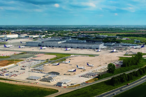 Am Pariser Flughafen Charles de Gaulle hat der Zoll Hunderte Schädel geschützter Affenarten beschlagnahmt (Symbolfoto).